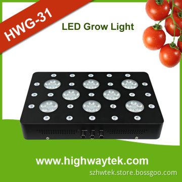 Full Spectrum High Power LED Chip 5W LED Grow Light 400W (HWG-30)